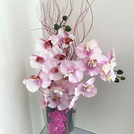 Delle Orchidee Daire *